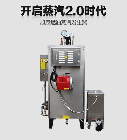 30kg燃油食品加工蒸汽發生器鍋爐 高效節能的食品工業熱能解決方案