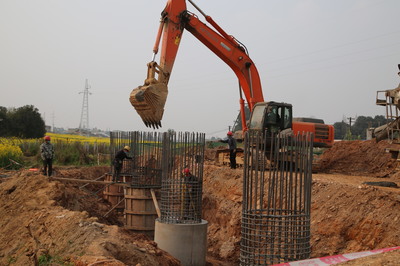 東坡區(qū)成立保障專組，為項(xiàng)目建設(shè)“滿血復(fù)活”注入強(qiáng)勁動(dòng)力